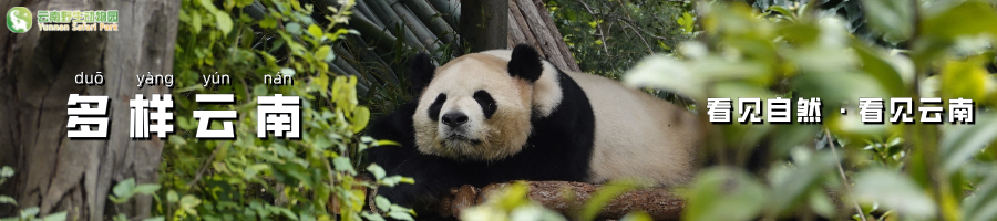 云南野生动物园