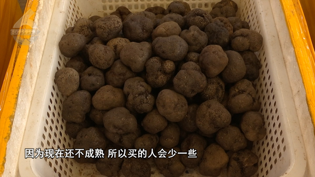 8099999街头巷尾微信