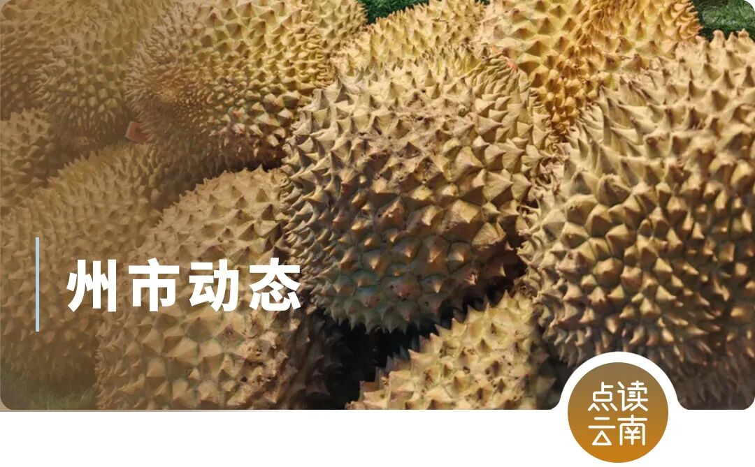 云南省人民政府