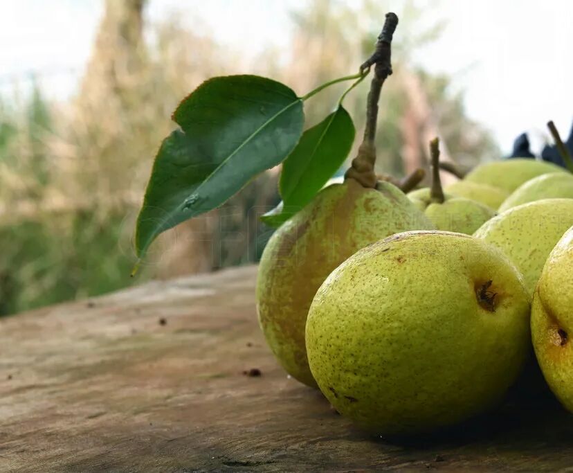 昆明市中医医院