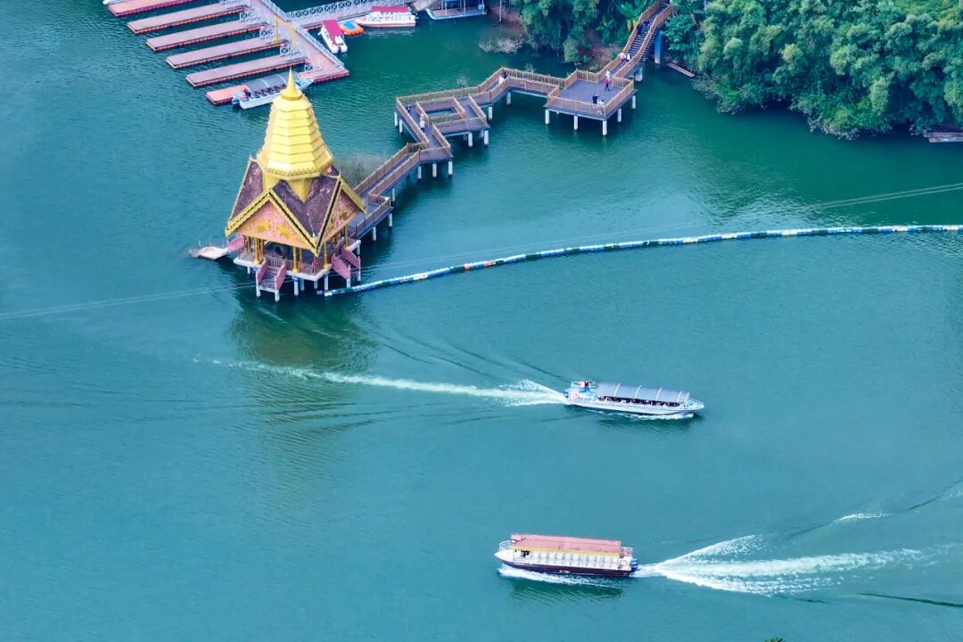 西双版纳望天树景区