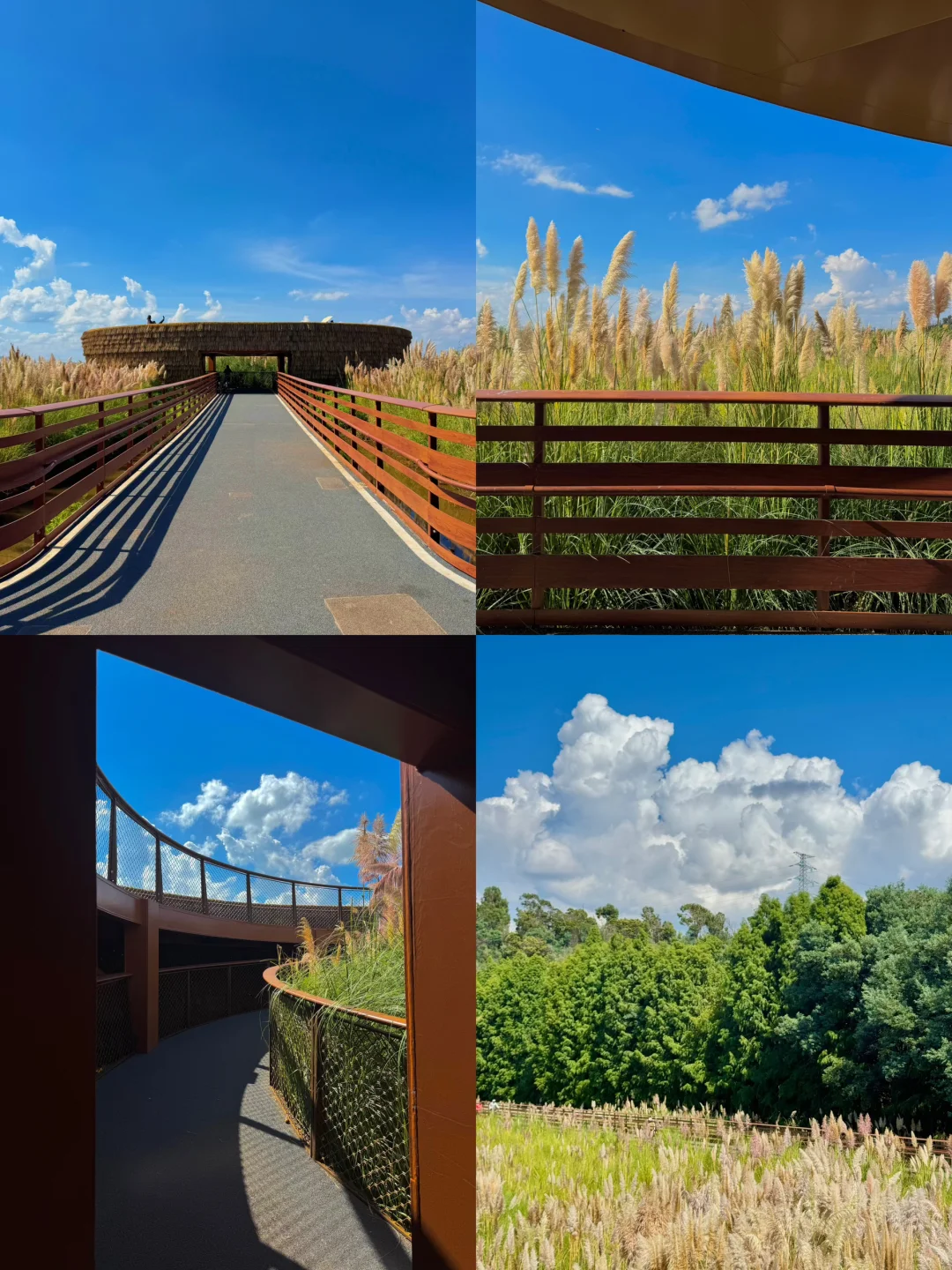 8099999街头巷尾微信