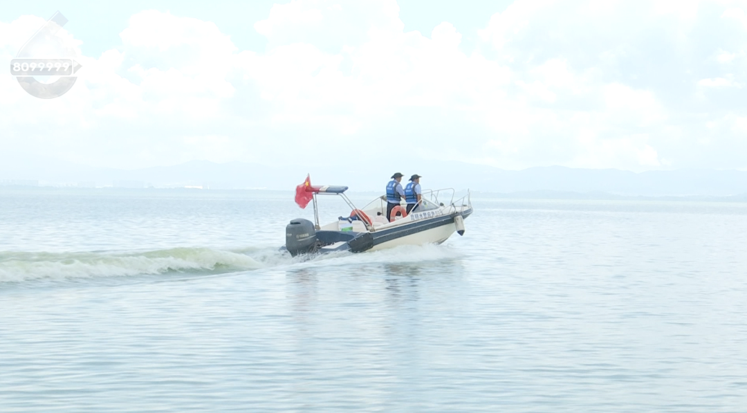 8099999街头巷尾微信