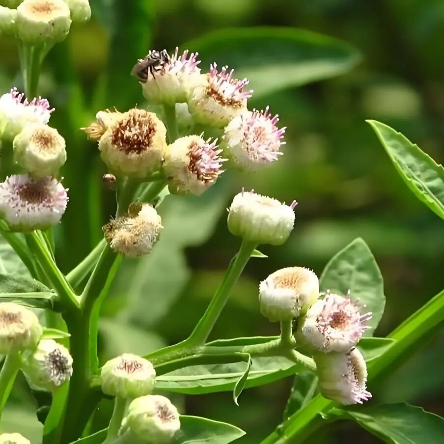 昆明市中医医院