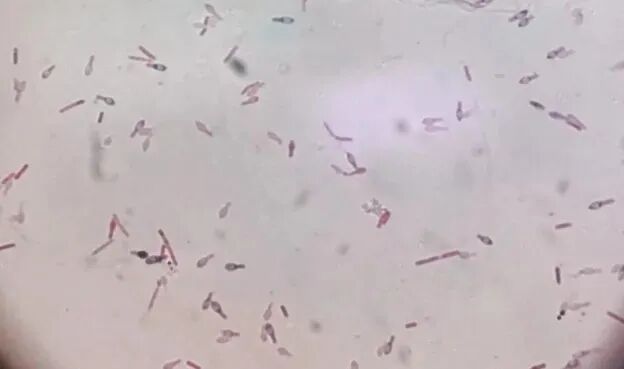 昆明广播电视台