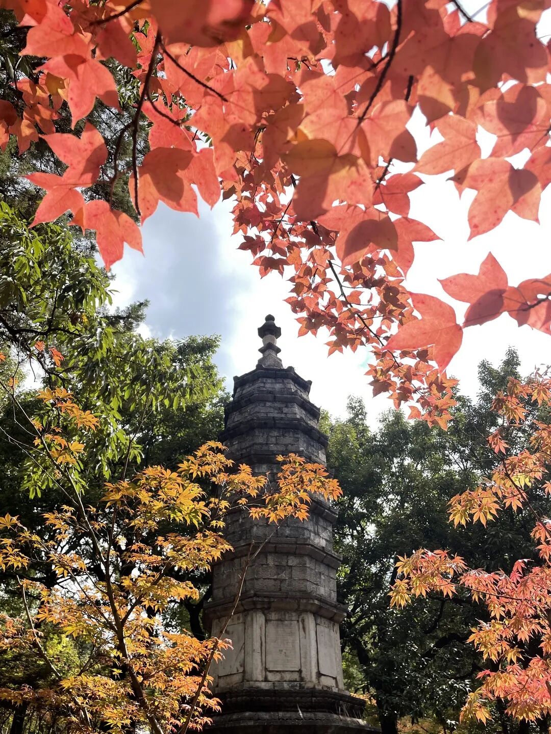 昆明市黑龙潭公园