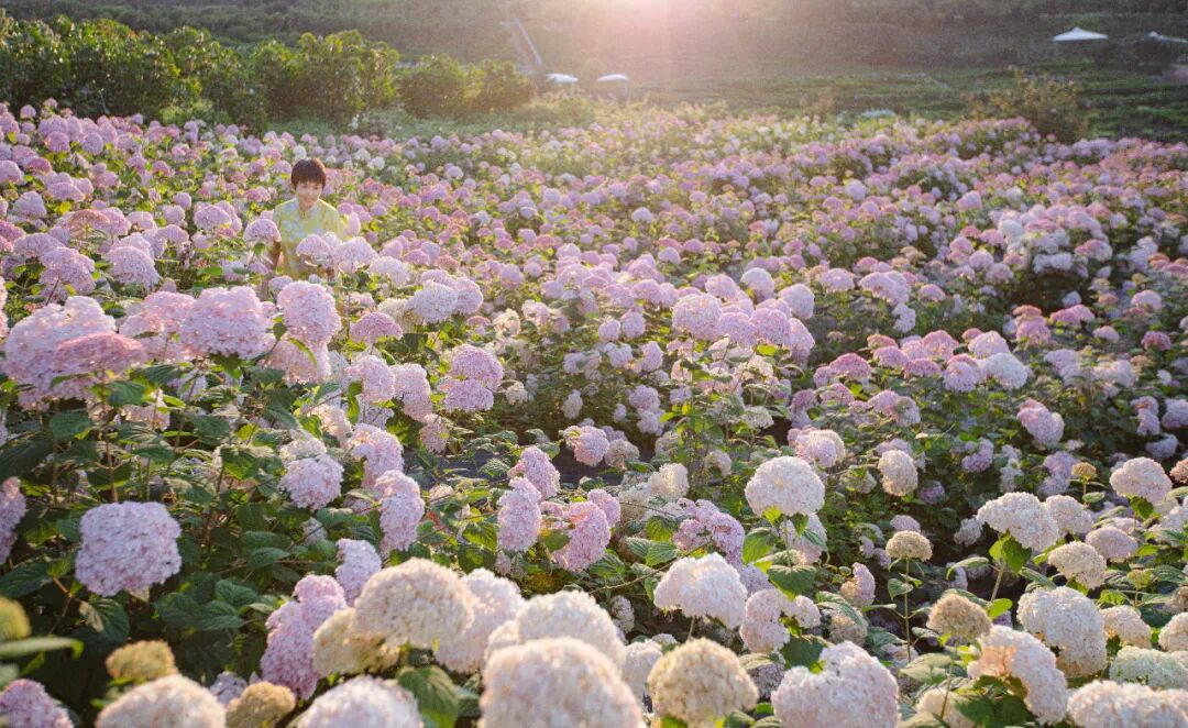 昆明阳宗海风景名胜区