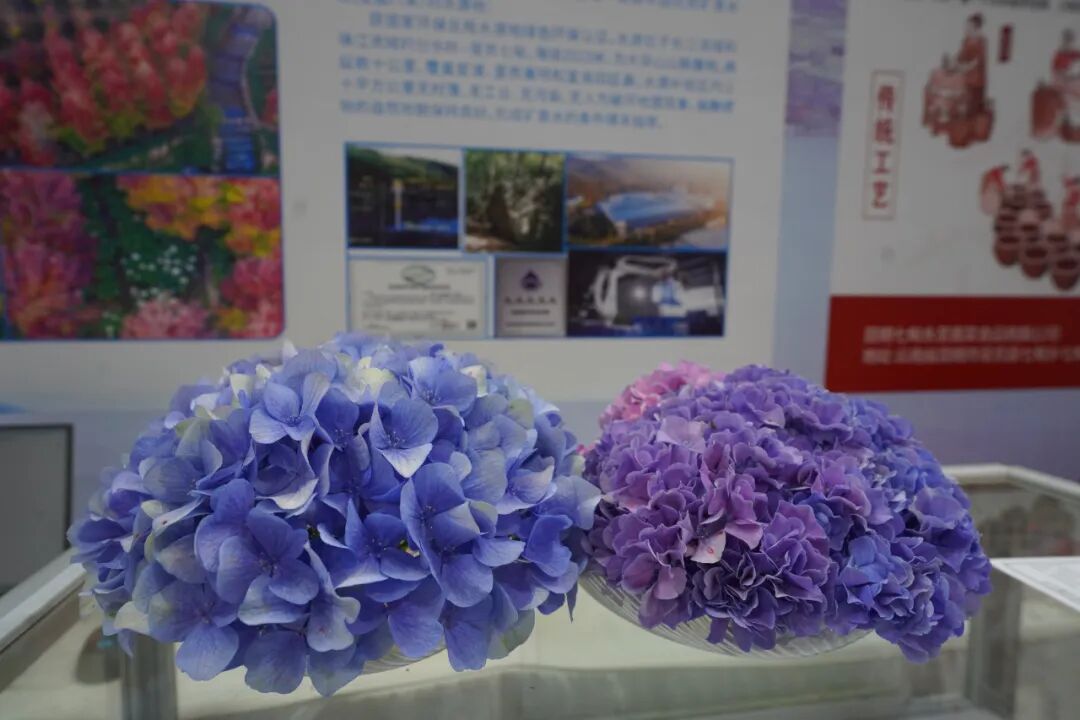 昆明阳宗海风景名胜区