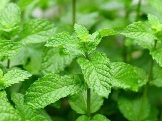 昆明市中医医院