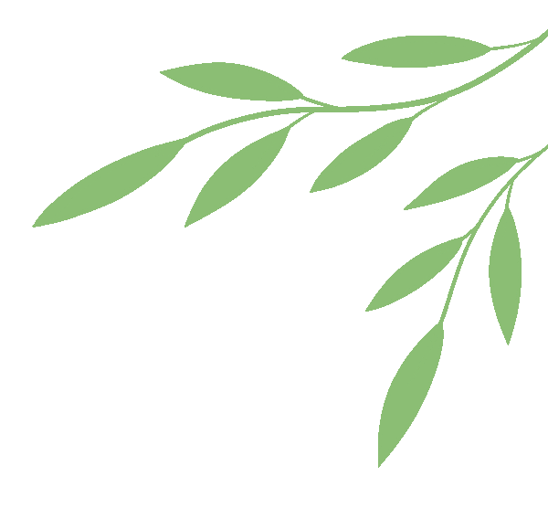 云南省中医医院