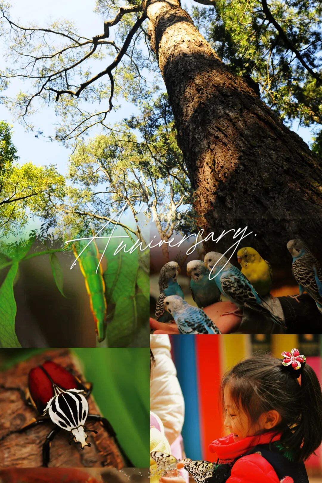 昆明市金殿名胜区