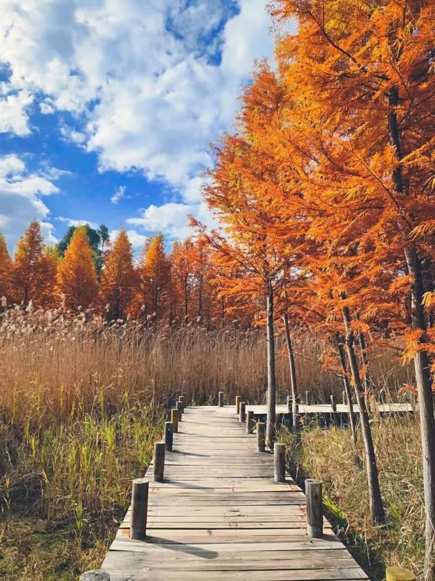晋宁 诗意的栖居地