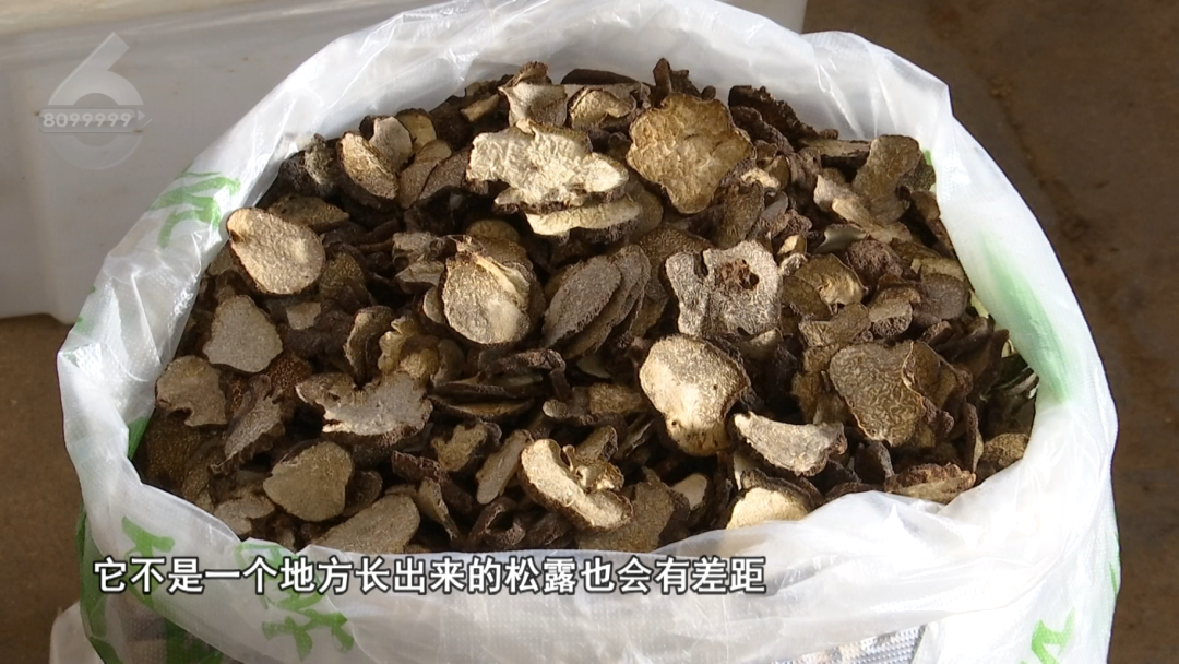 8099999街头巷尾微信