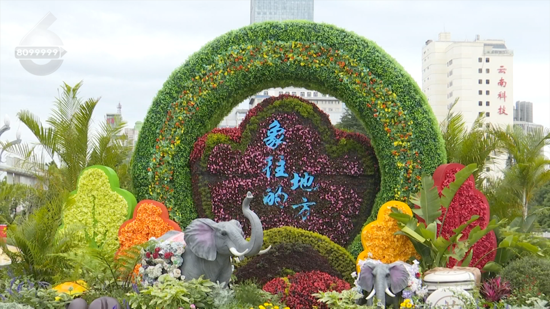 8099999街头巷尾微信