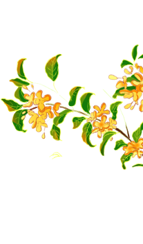 昆明市西山区图书馆