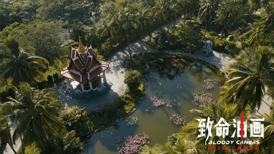 8099999街头巷尾微信