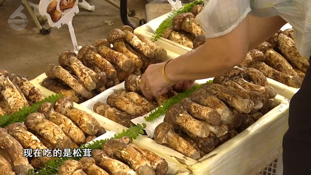 8099999街头巷尾微信