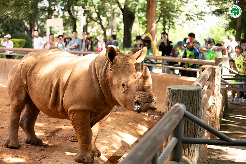 昆明动物园