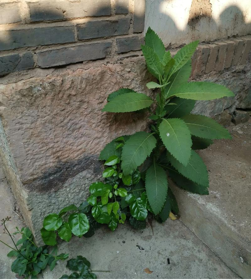 昆明市中医医院