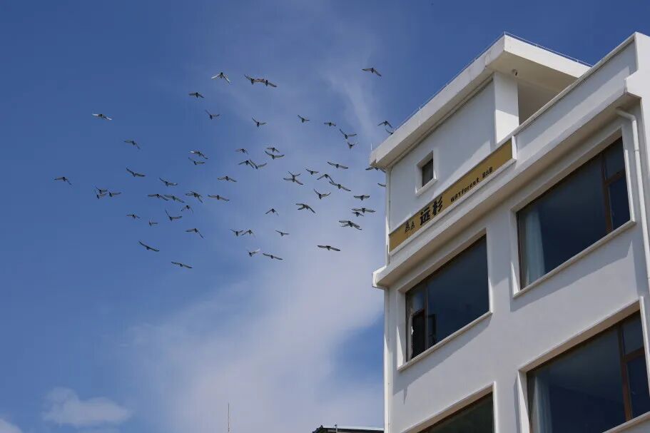 晋宁 诗意的栖居地