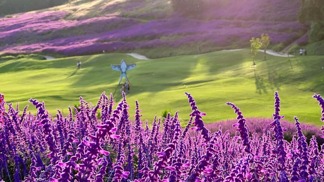昆明阳宗海风景名胜区