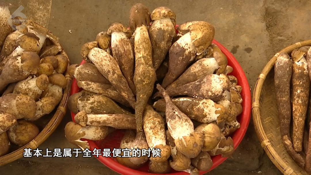 8099999街头巷尾微信