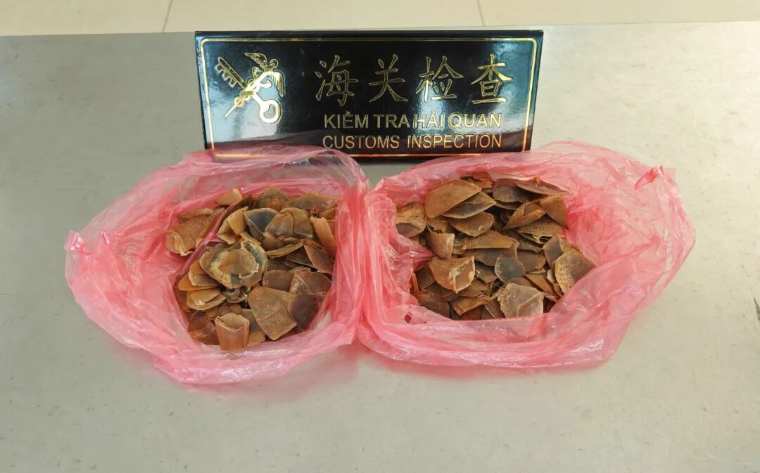 8099999街头巷尾微信