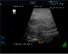 云南省第一人民医院