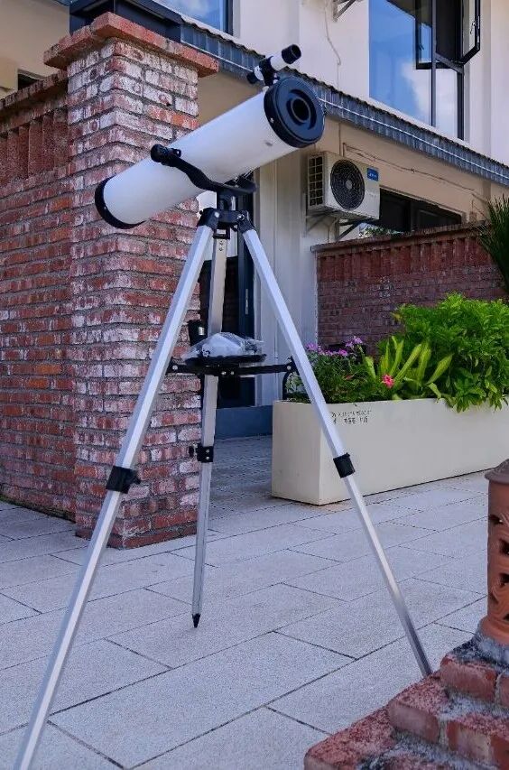 西双版纳望天树景区