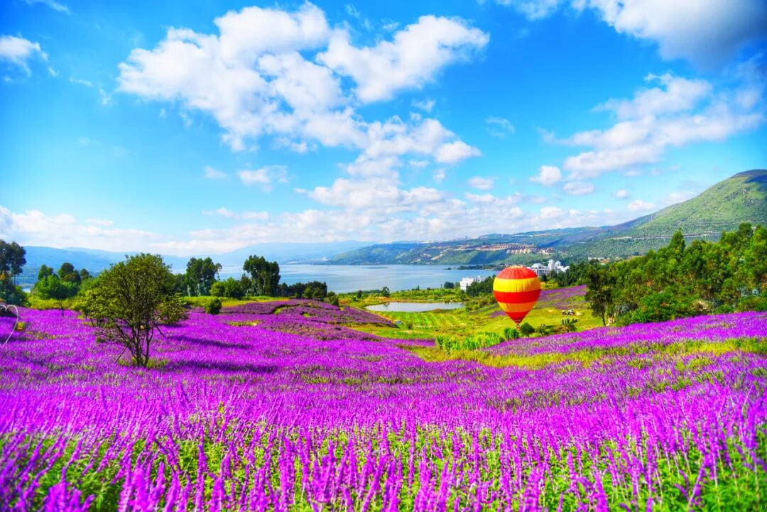 昆明阳宗海风景名胜区