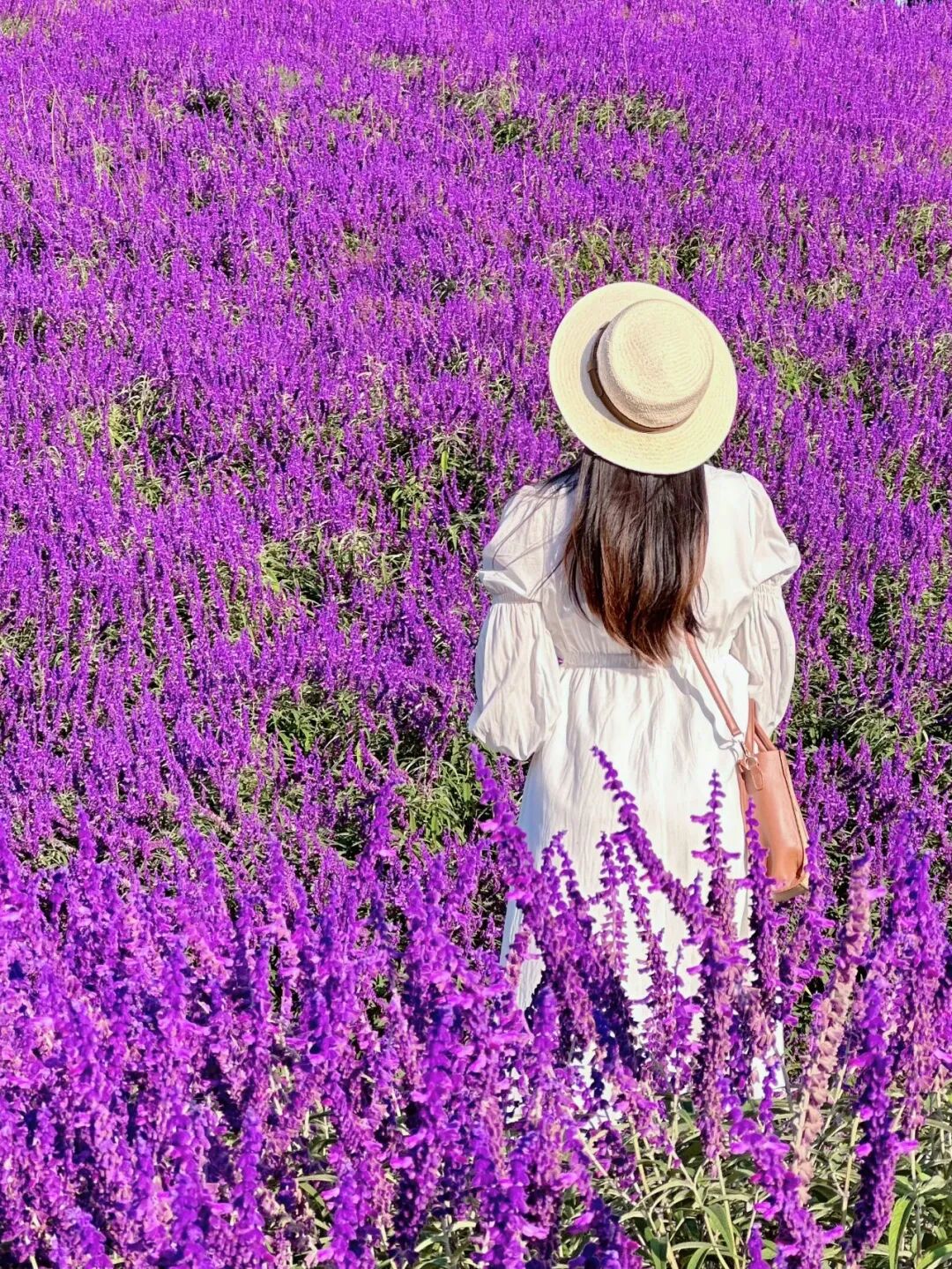 昆明阳宗海风景名胜区