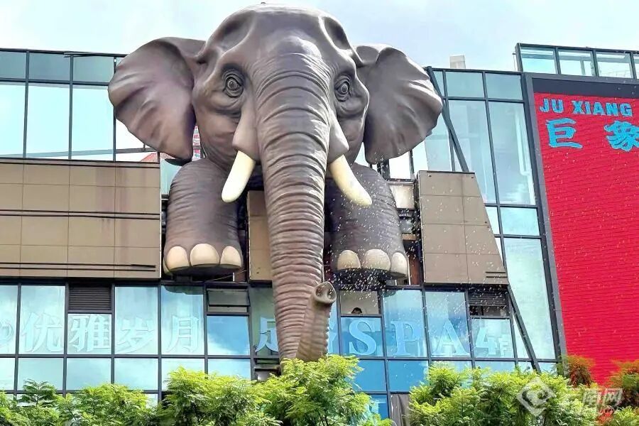 8099999街头巷尾微信