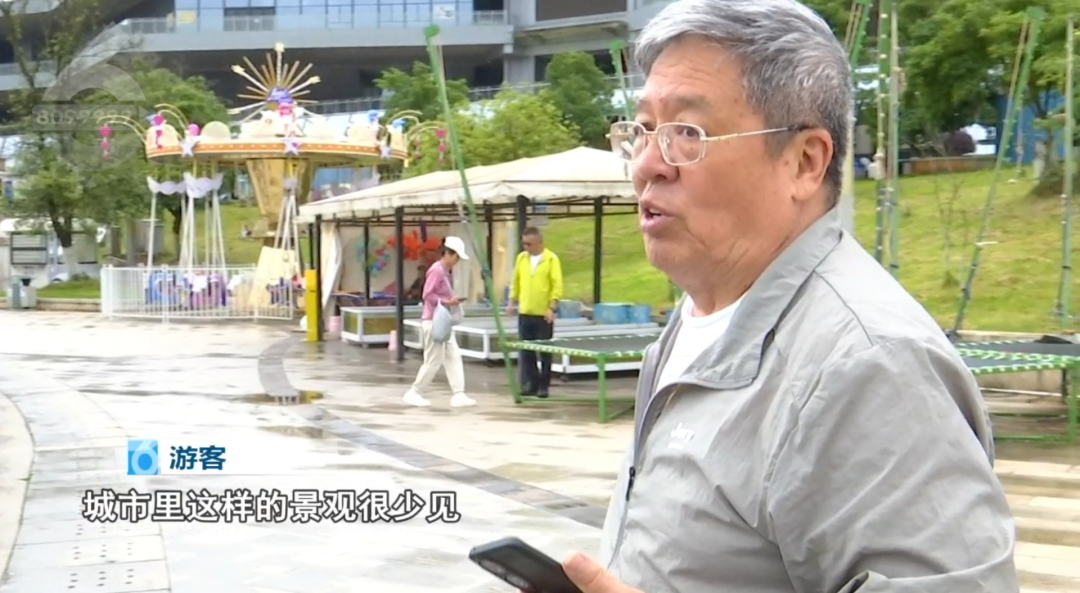 8099999街头巷尾微信