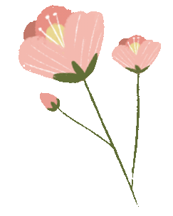 昆明市公共就业和人才服务中心