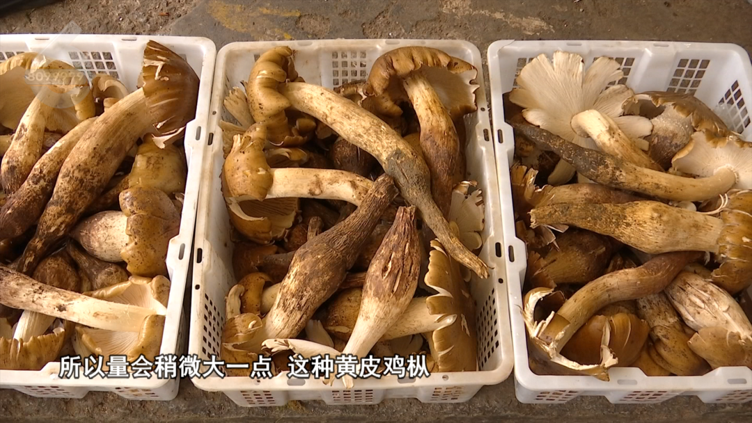 8099999街头巷尾微信