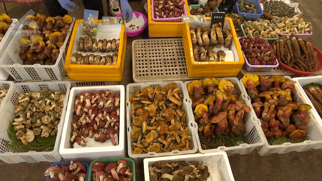 8099999街头巷尾微信