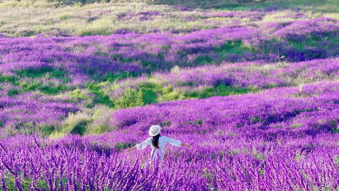 昆明阳宗海风景名胜区