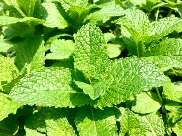 昆明市中医医院