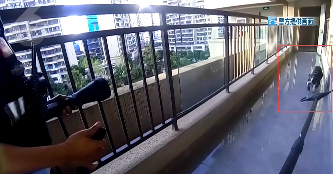 8099999街头巷尾微信