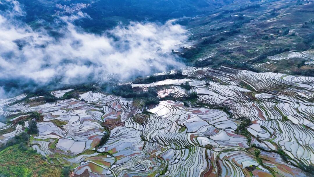 云南省人民政府