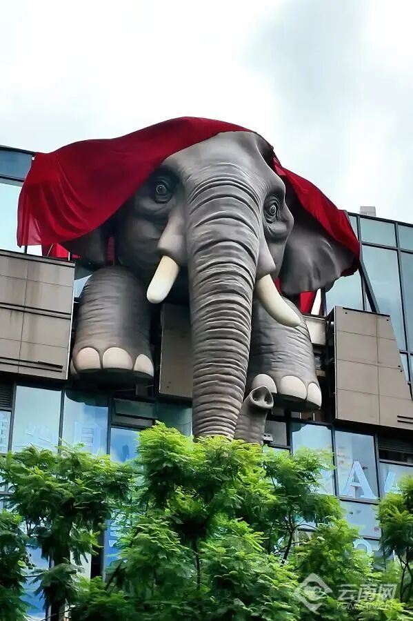 8099999街头巷尾微信