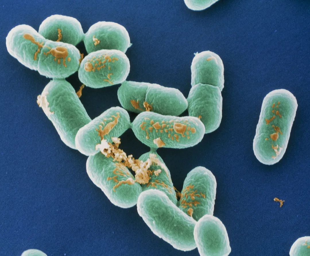 美丽云南微科普