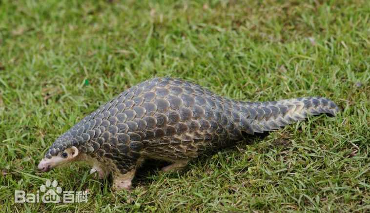 8099999街头巷尾微信