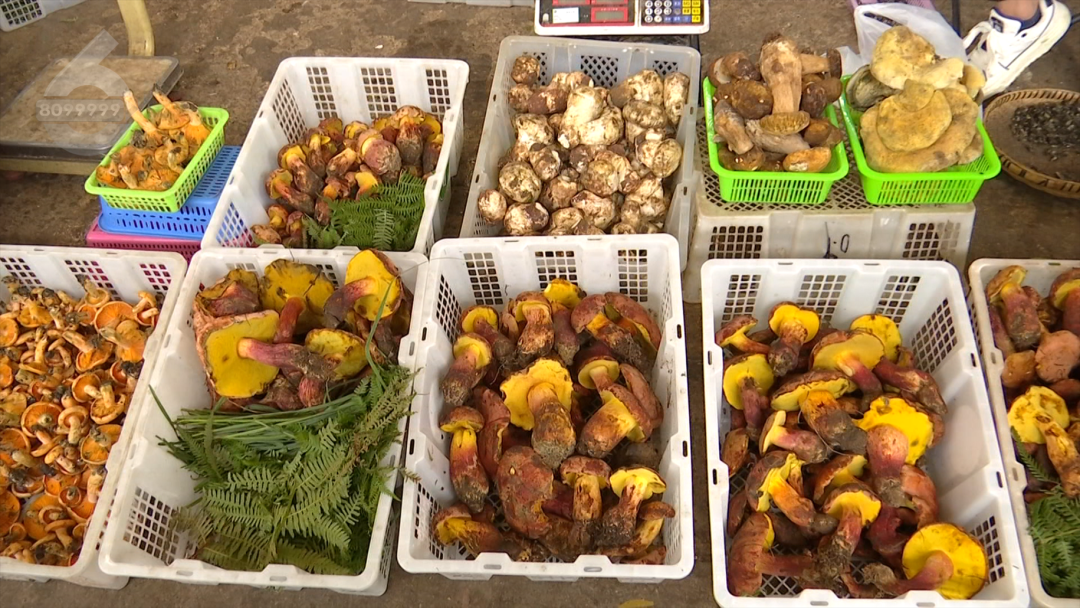 8099999街头巷尾微信