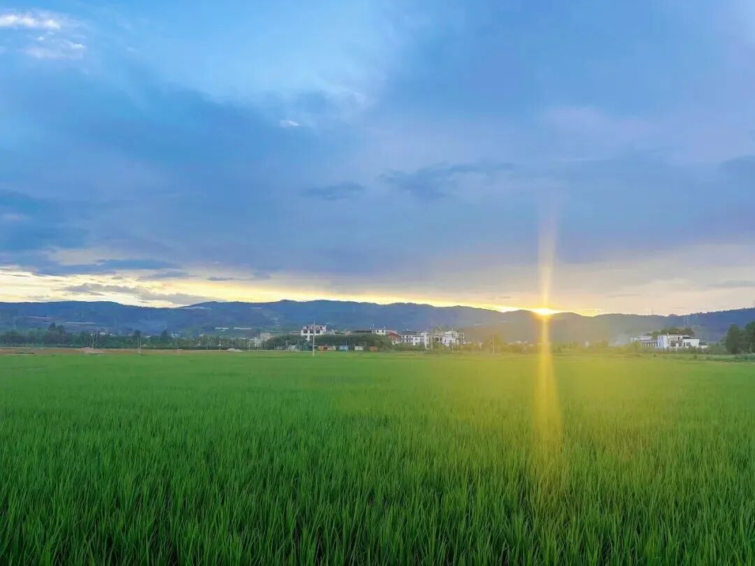 昆明阳宗海风景名胜区