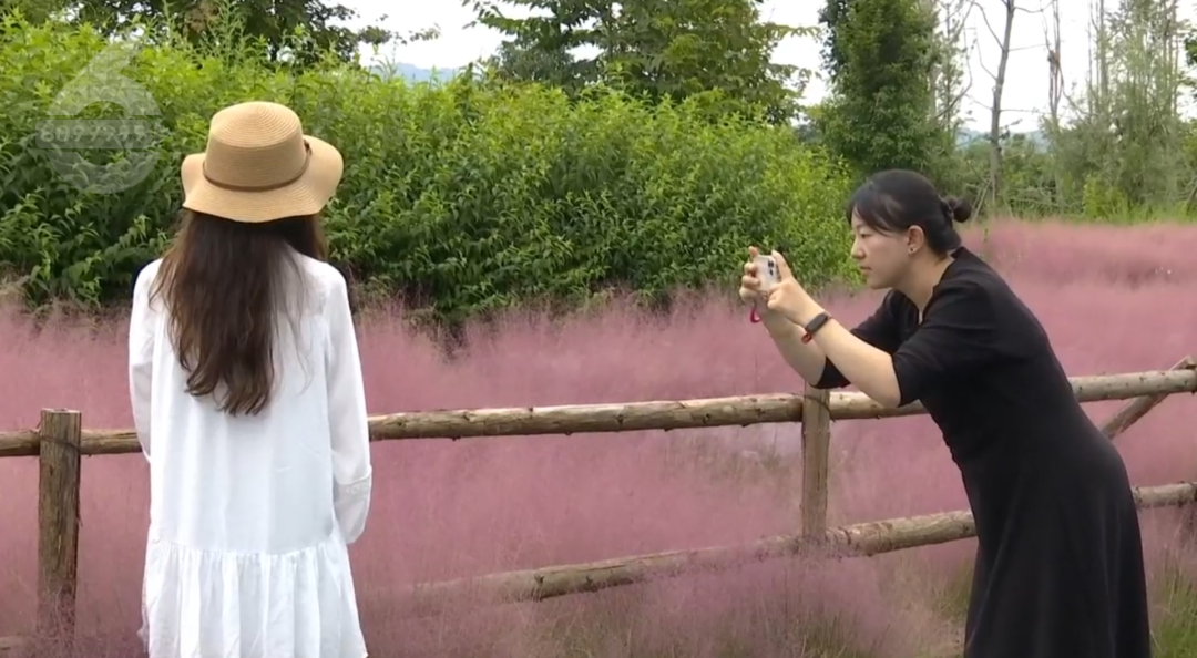 8099999街头巷尾微信