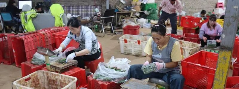 昆明阳宗海风景名胜区