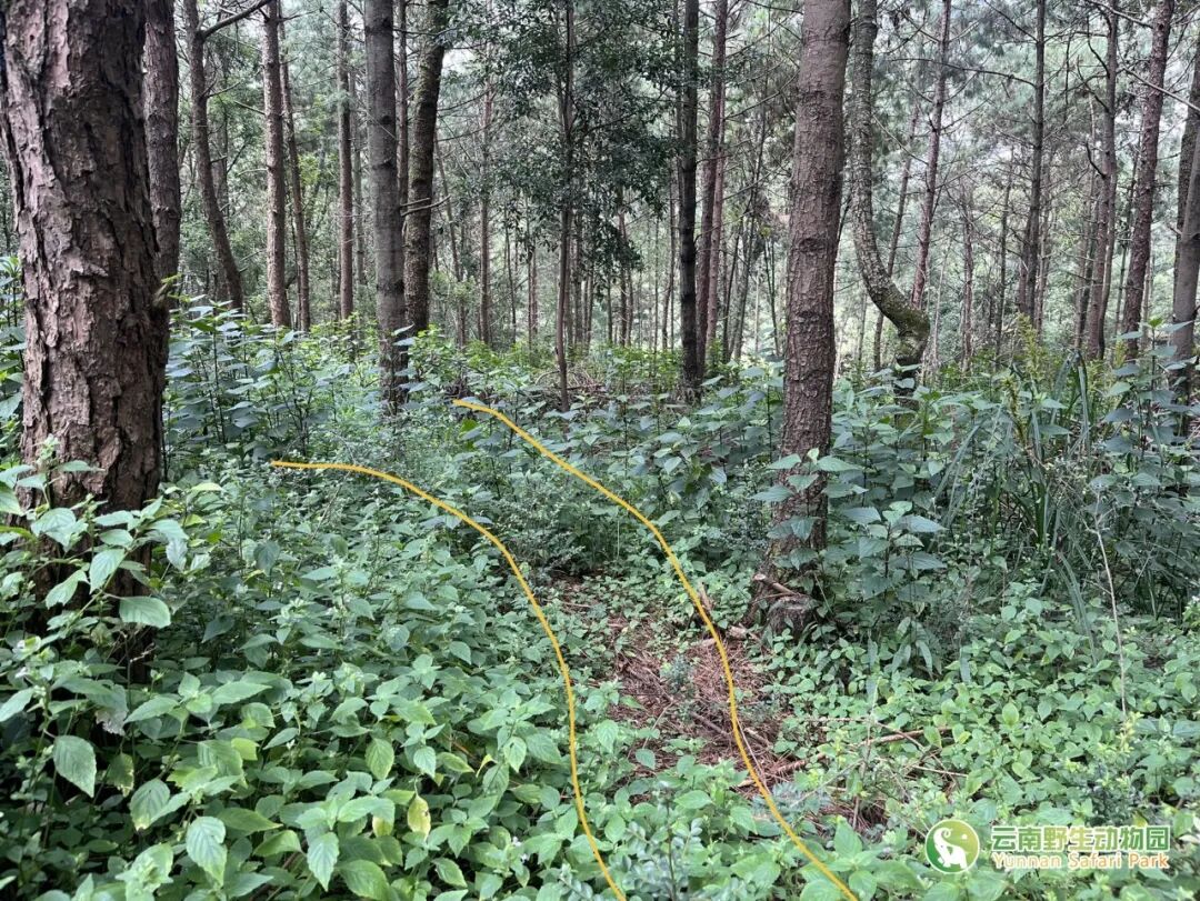 云南野生动物园