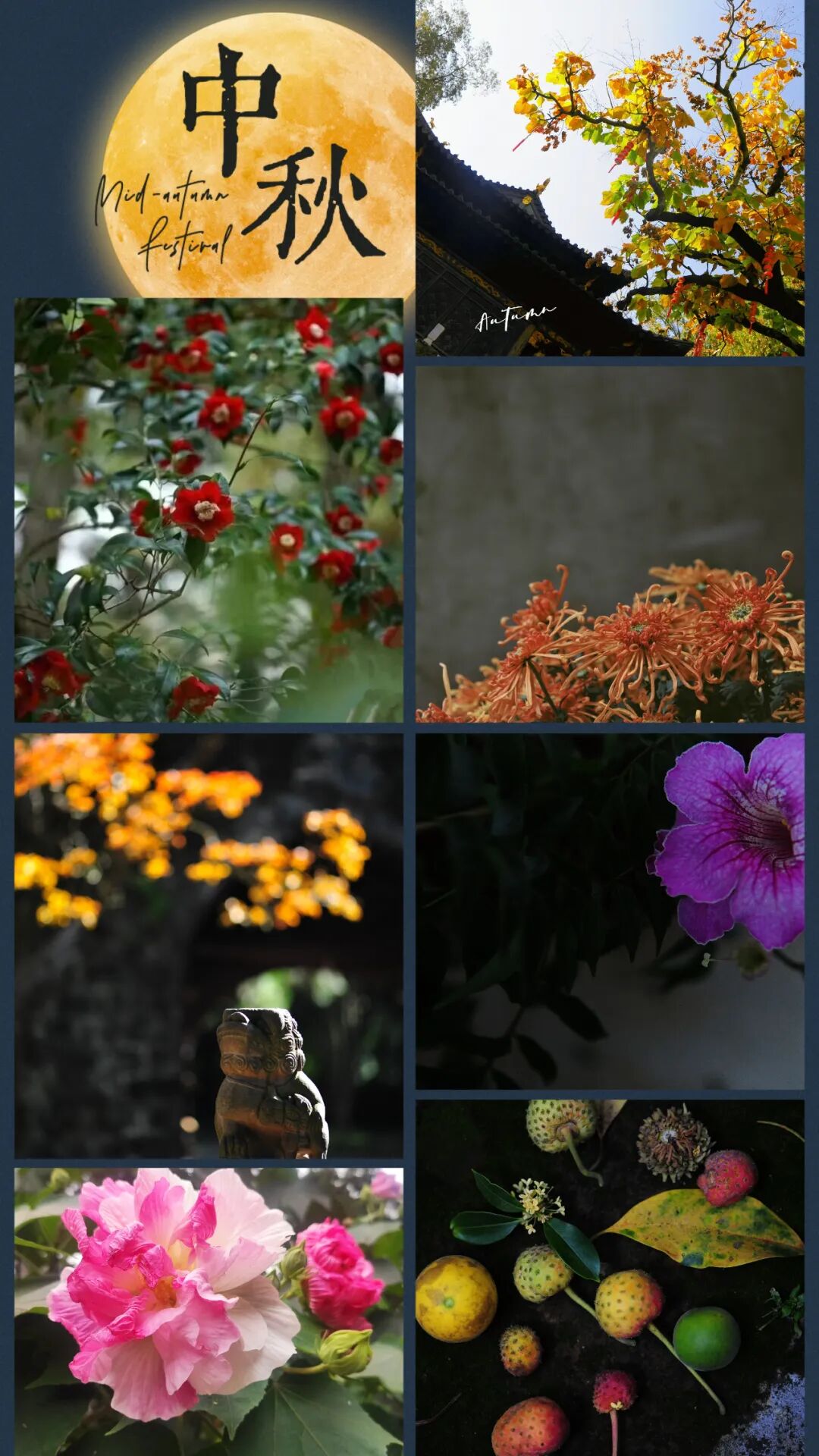 昆明市金殿名胜区