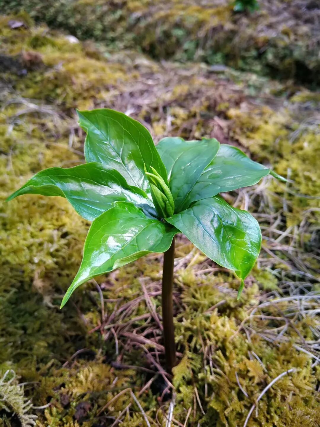 昆明国家高新区发布